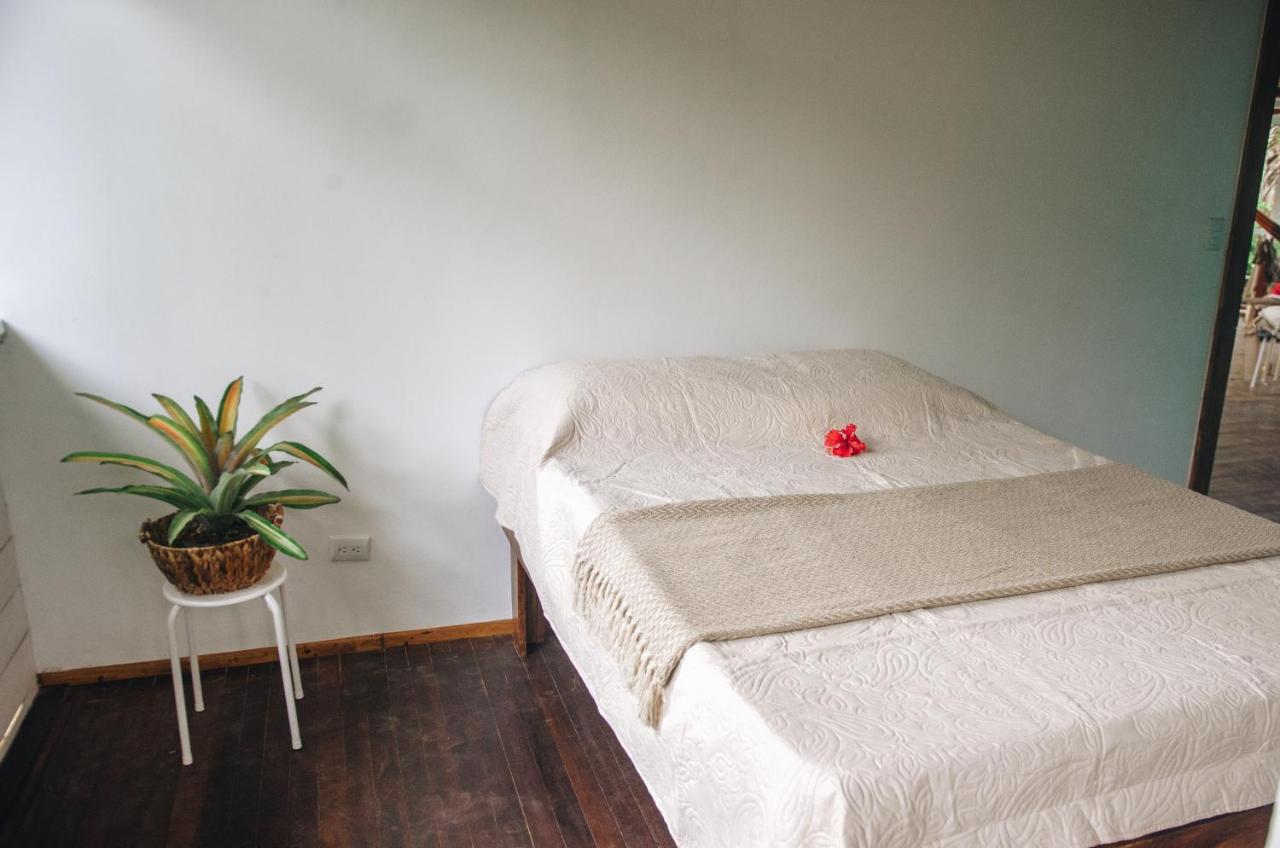 Casa Bohoe Puerto Viejo de Talamanca Ngoại thất bức ảnh