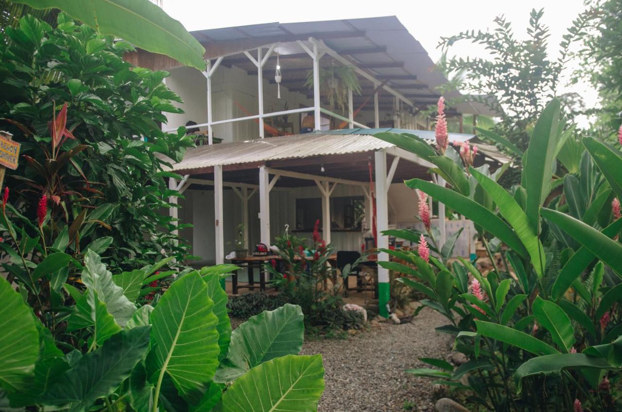 Casa Bohoe Puerto Viejo de Talamanca Ngoại thất bức ảnh
