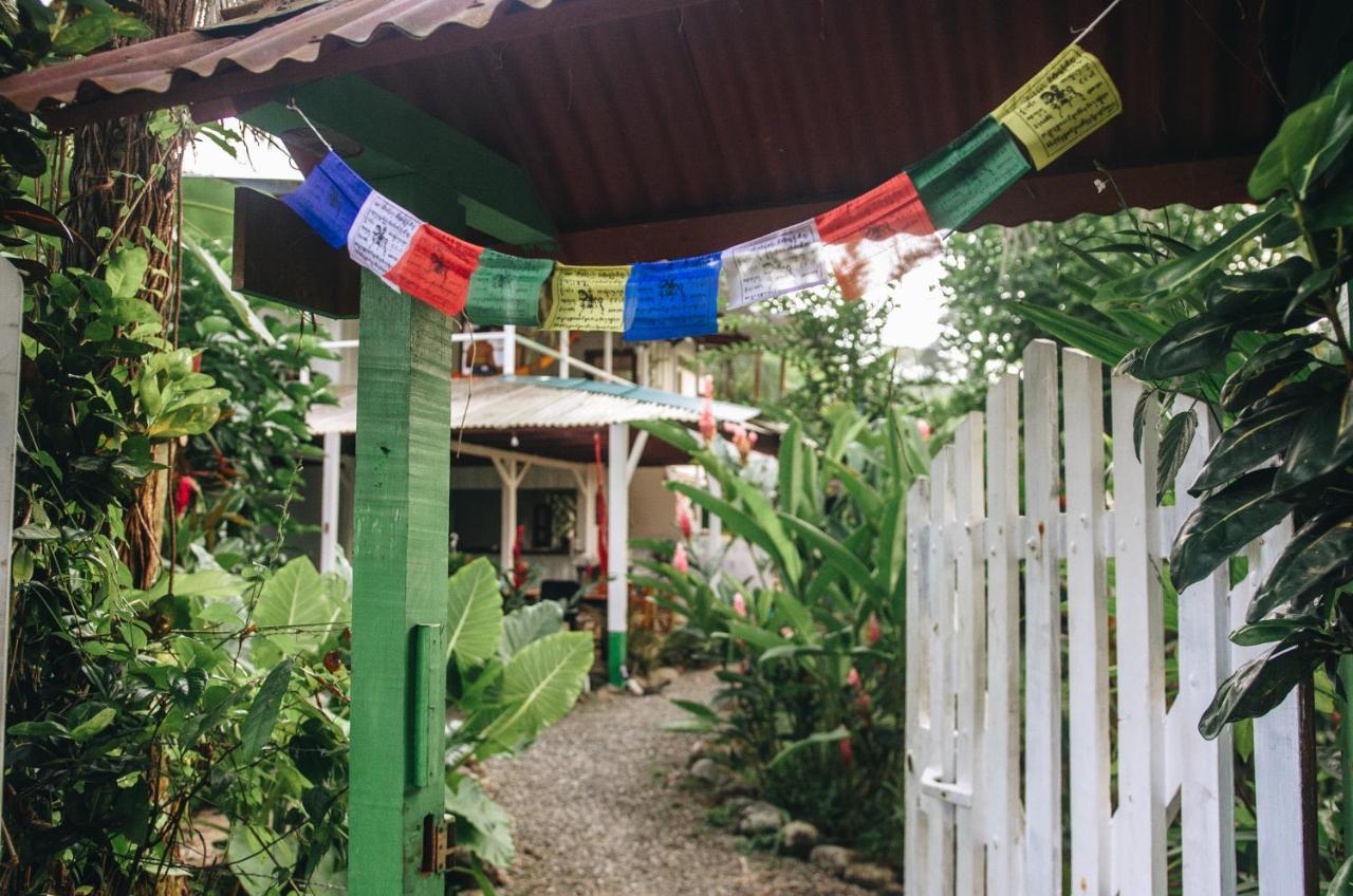 Casa Bohoe Puerto Viejo de Talamanca Ngoại thất bức ảnh