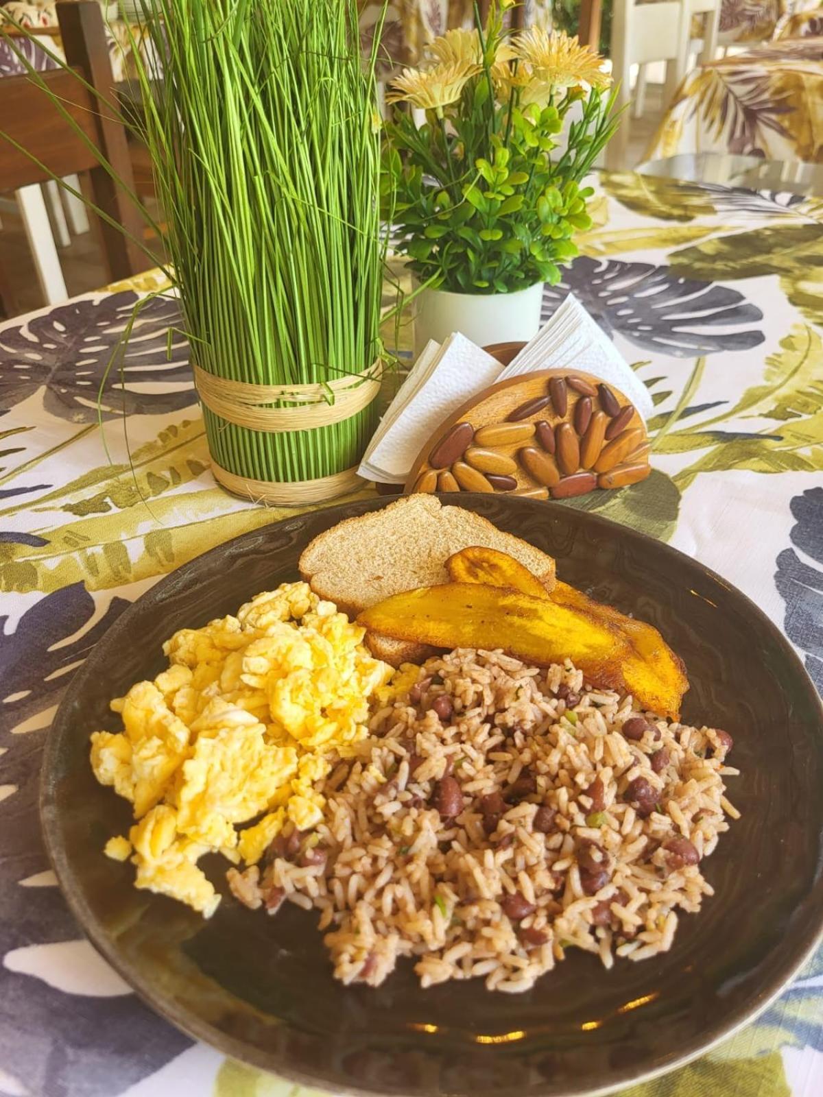 Casa Bohoe Puerto Viejo de Talamanca Ngoại thất bức ảnh